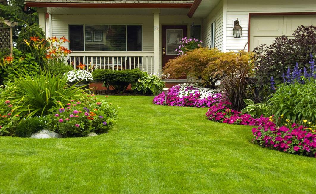 Michael's Irrigation and Landscaping: Service Image-1 Michael's Irrigation and Landscaping: Service Image-1