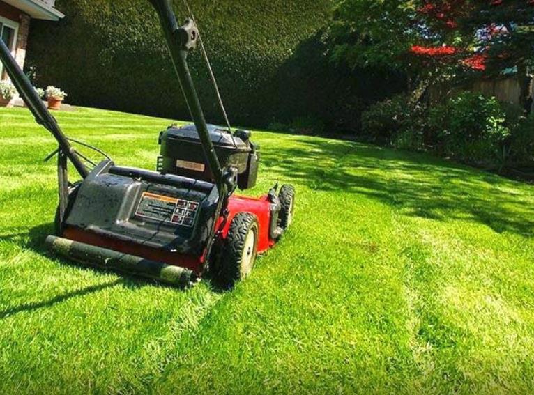 Michael's Irrigation and Landscaping: Service Image-2 Michael's Irrigation and Landscaping: Service Image-2