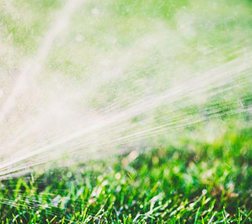 Michael's Irrigation and Landscaping: Service Image-6 Michael's Irrigation and Landscaping: Service Image-6